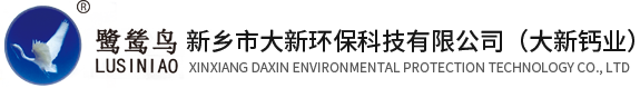 新乡市大新环保科技有限公司（大新钙业）