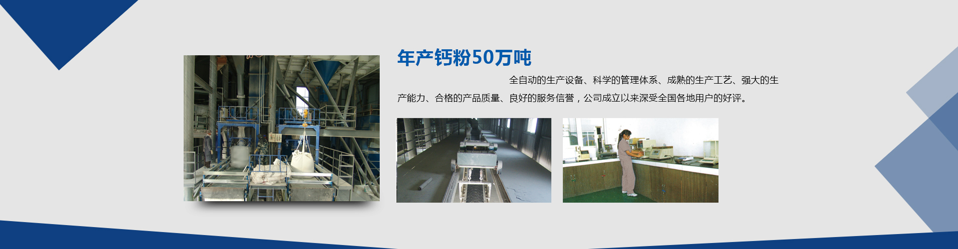 新乡市大新环保科技有限公司（大新钙业）